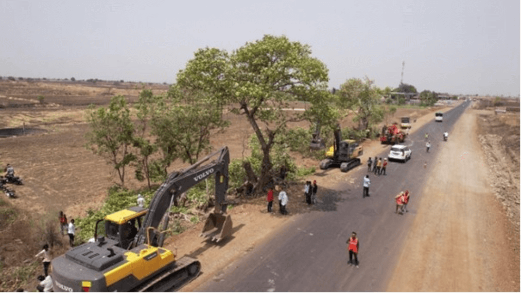 Jintur - Jalna Replantation of trees 